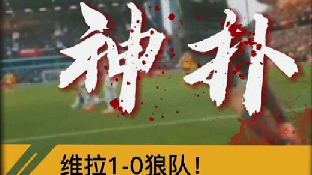 “大马丁三次神扑，维拉1比0零封狼队”