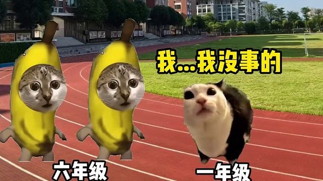 一年级眼中的六年级