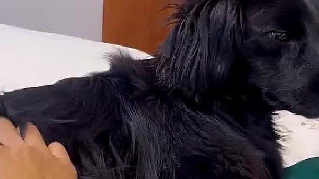 死手，快摸～
