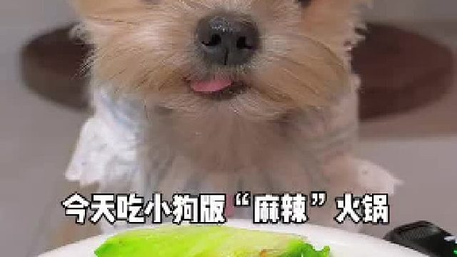 今天吃“麻辣”火锅