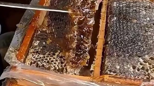 蜂蜜会过期吗？原来好蜂蜜放50年也没问题！