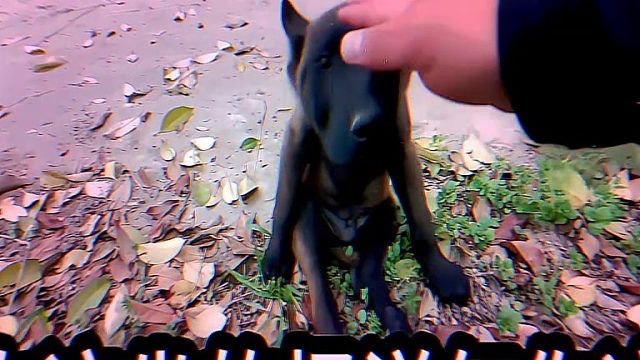 小时候你护着我，长大后我护着你