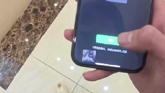 京圈太子爷极限生存一天