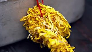 好言難勸該死的鬼呀