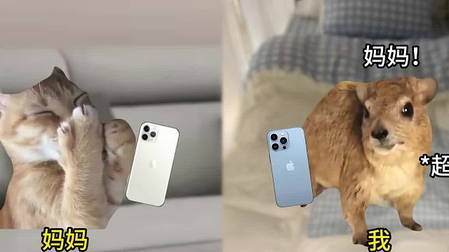 当我打电话找妈妈要生活费