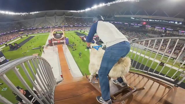 极限钻火圈挑战，玩家们自带工具，飞过火圈落地站稳就算赢