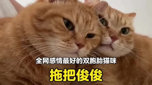 全网感情最好的双胞胎兄弟，腻歪程度不输任何一对小情侣