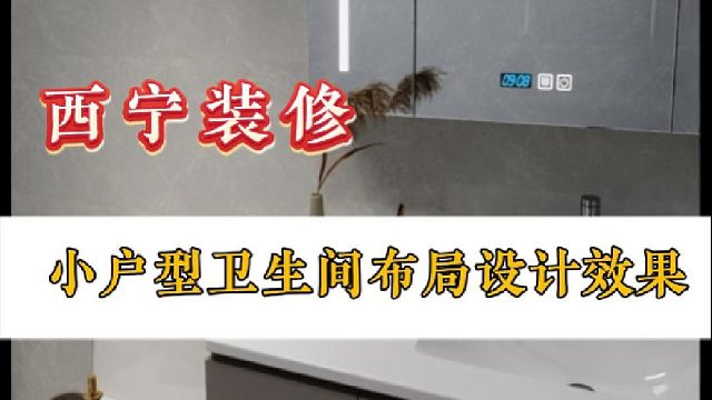 小户型卫生间布局设计效果