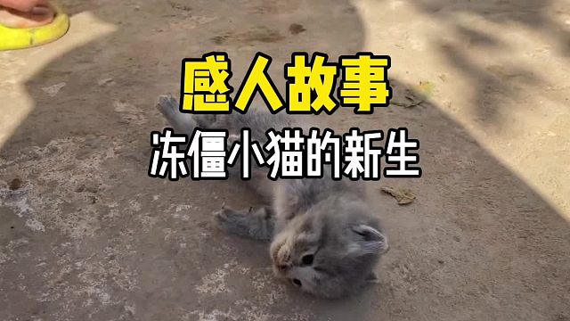 灵魂一旦被爱，血肉就会疯狂生长！