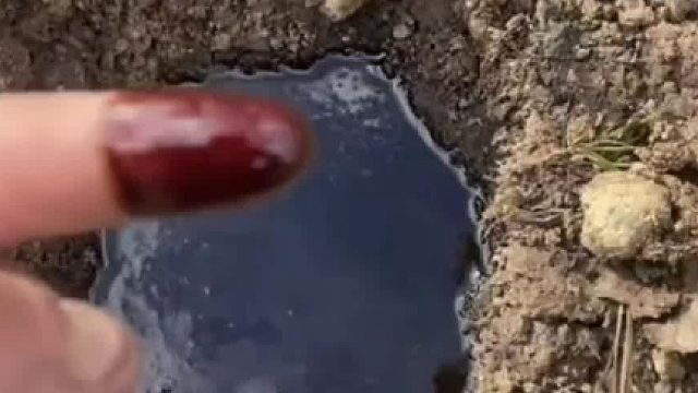 发现石油很开心暴露位置哭兮兮