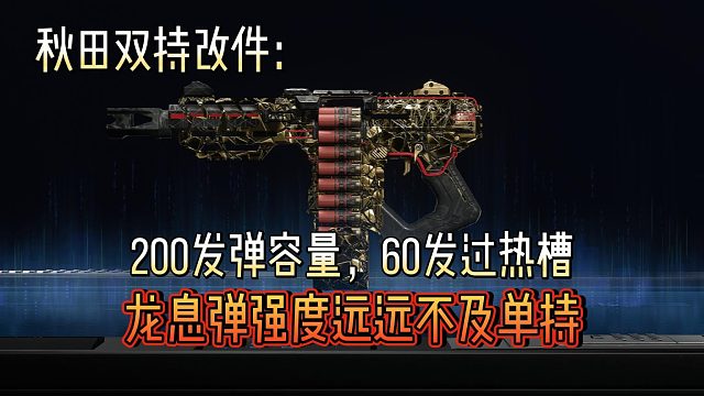 秋田双持改件：超大弹容，过热玩法，龙息略远就杨伟，强度不及单持