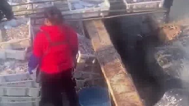 船主揭穿主播码头带货 来船上直播说是自家渔船