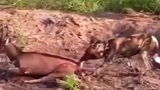 感觉身体被掏空