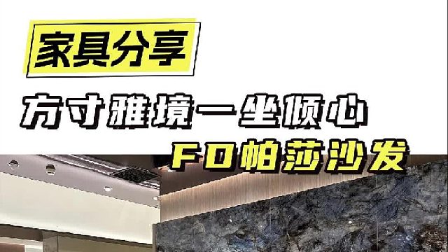 方寸雅境一坐倾心 FD帕莎沙发