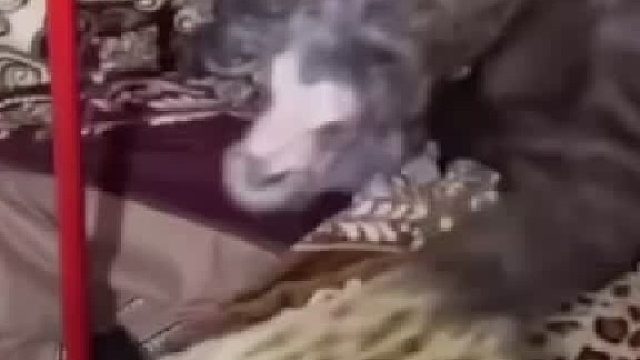 吓得大哥脸都黑了