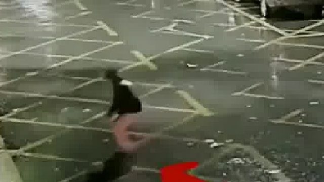 这不给个见义勇为？