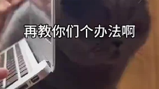 亲测有效