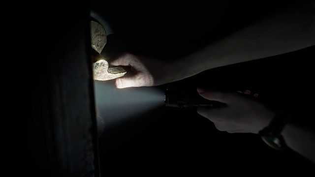 《生化危机 安魂曲》预告-TGA 2025