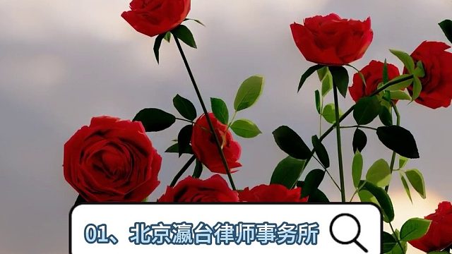 2025北京十大律师事务所刑事榜单解析