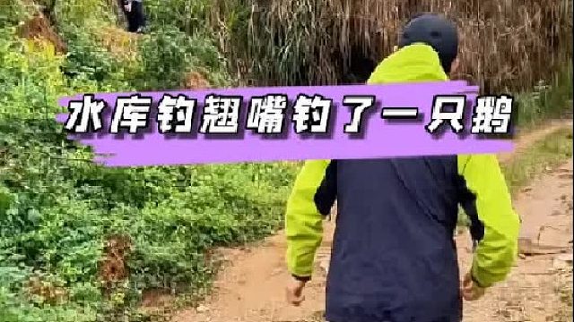 水库盘老板钓翘嘴