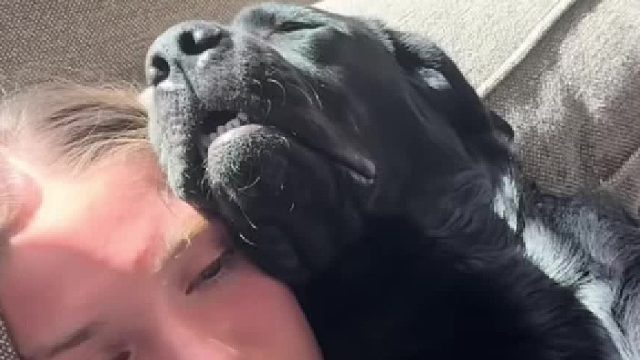 当你的家里有个没有边界的狗子