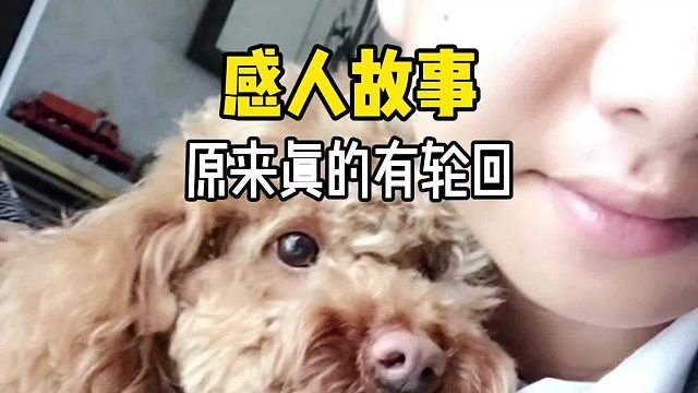 原来世界上真的有轮回！