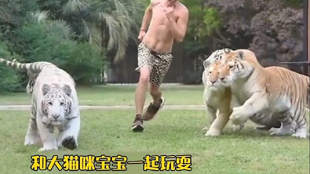 国外小哥从小喜欢各种小动物，长大后实现曾经愿望成为了动物园园长（后续…）