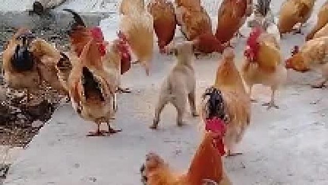 看你还皮不皮。