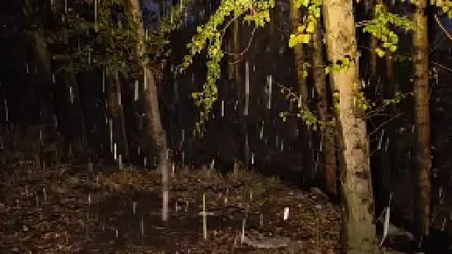 末日废土物资之美军MRE#全网热点共创计划#