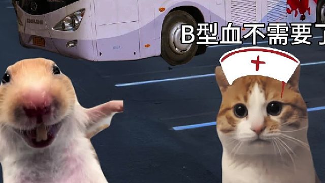 当各个血型的人献血时