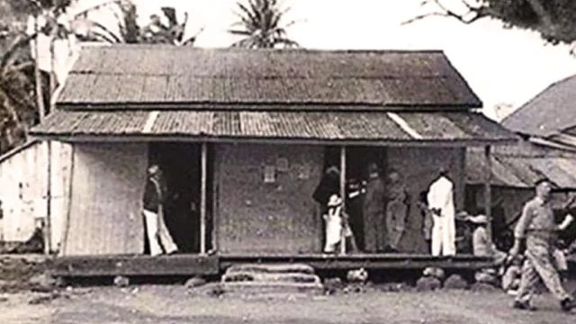 波拉波拉居然有个“中华老字号”？