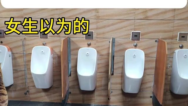 女生以为的男生上厕所