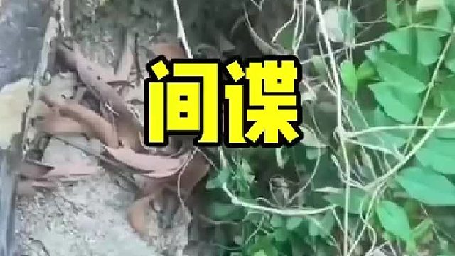 这是什么高科技，做什么用的？有懂的大神吗？