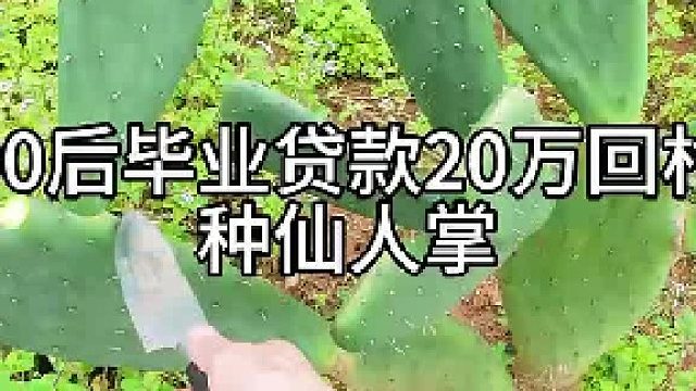 00后毕业贷款20万回村种仙人掌