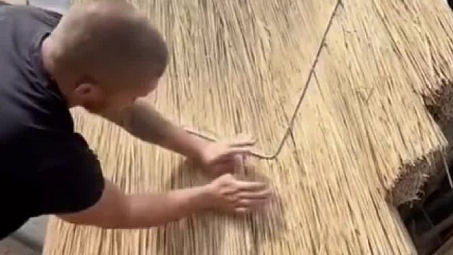 茅草制作的屋顶真的能冬暖夏凉嘛