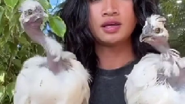 鸡头稳定器#全网热点共创计划#