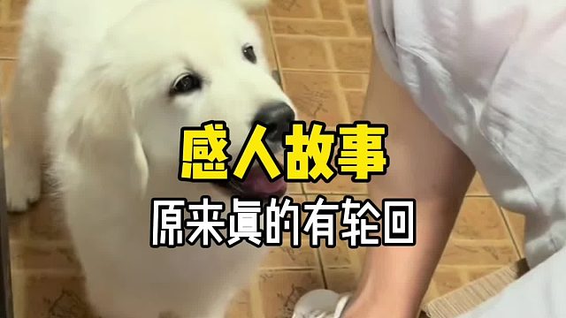 原来世界上真的有轮回！