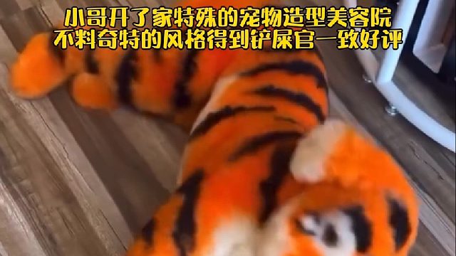 小哥开了家特殊的宠物造型美容院，不料奇特的风格得到铲屎官一致好评