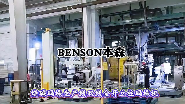 烧碱码垛生产线双线全开立柱码垛机