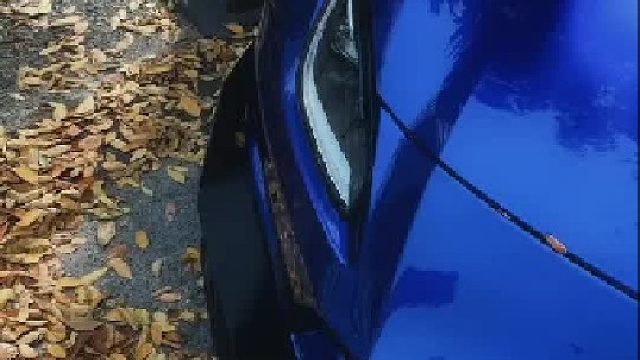 不经意的美就在一瞬间