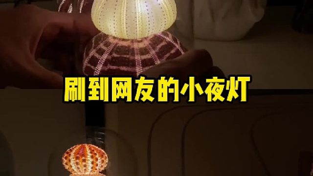 海胆壳居然这么好看