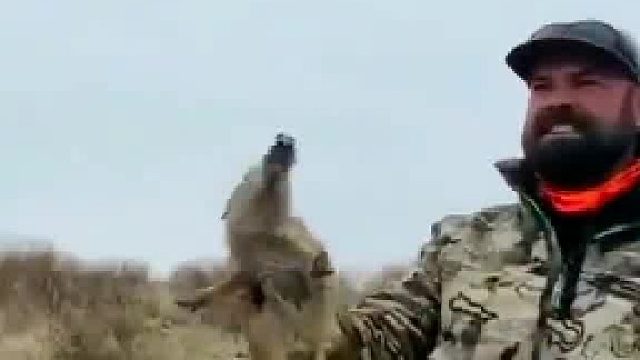 那么小就反抗 攻击。大了无敌