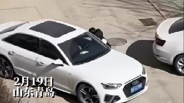 雨刮一开，六道轮回！