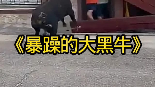暴躁的大黑牛