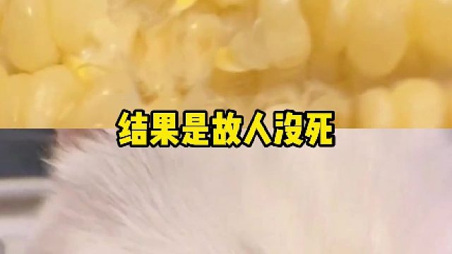 请交出你们猥琐玉米茂密表情包