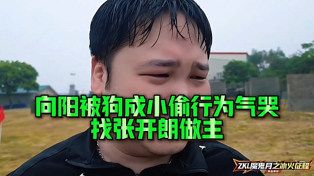 【张开朗】向阳被狗成小偷行为气哭找张开朗做主