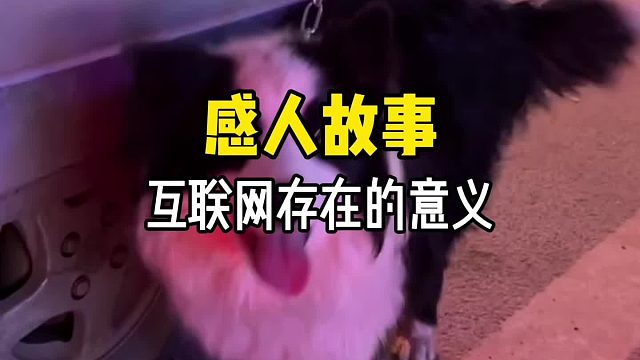 或许这就是互联网存在的意义吧……