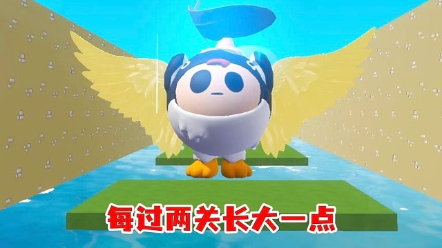 从小鸡蛋到飞天蛋