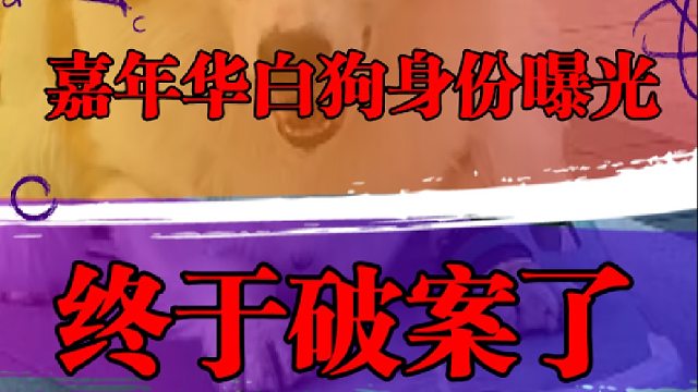 嘉年华白狗身份曝光，终于破案了