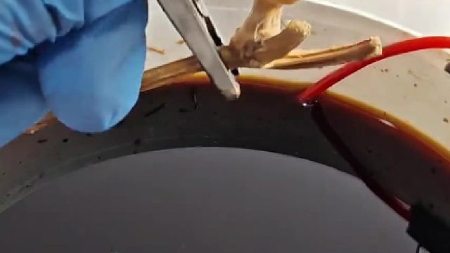 让葫芦表面形成像雷击一样的裂纹纹理